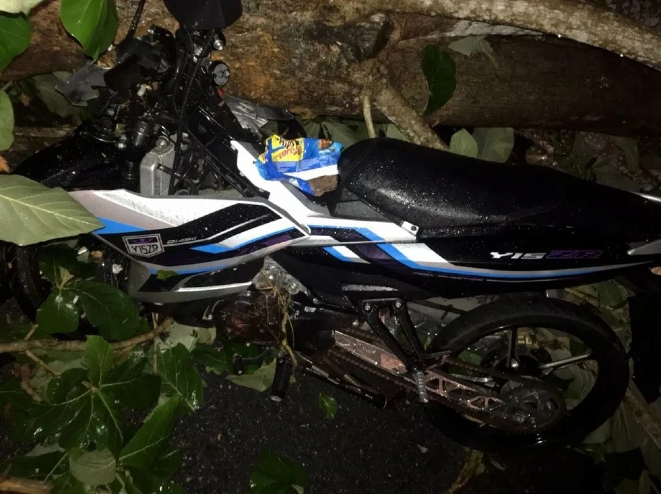Kandungan wanita dihempap pokok tumbang keguguran