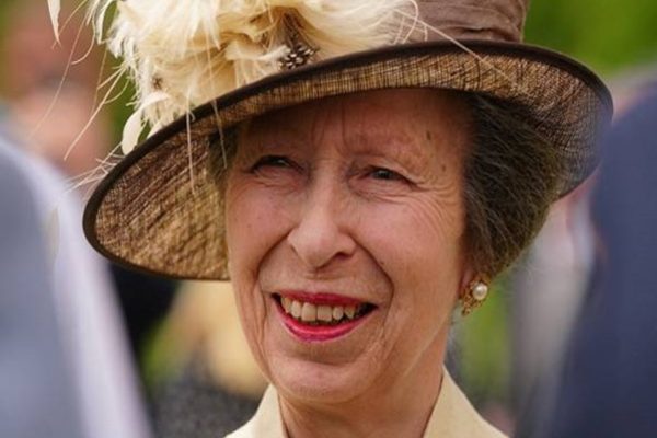 Puteri Anne UK alami kecederaan ringan selepas ditendang kuda