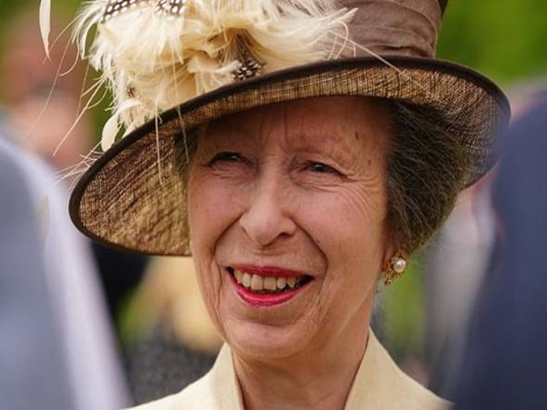 Puteri Anne UK alami kecederaan ringan selepas ditendang kuda