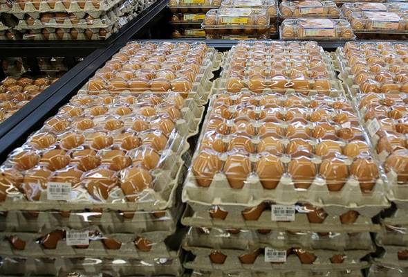 Harga runcit telur gred A,B, C diturunkan 3 sen - PM Anwar