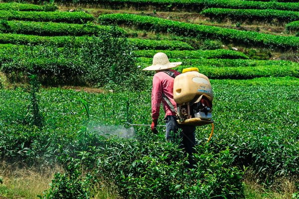 Pahang tubuh jawatankuasa khas tangani isu pencemaran racun dalam sayur, buah