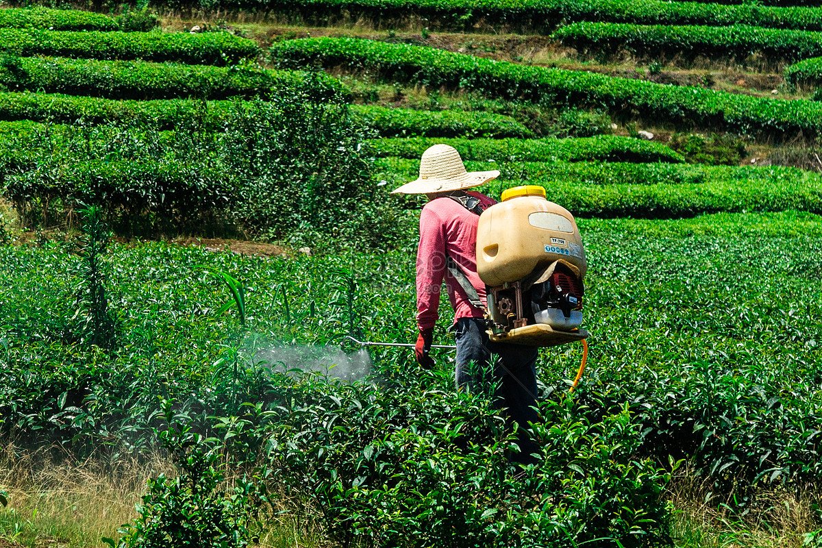 Pahang tubuh jawatankuasa khas tangani isu pencemaran racun dalam sayur, buah