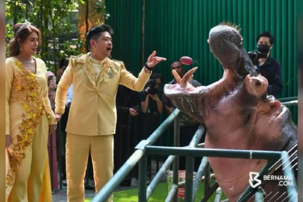 Tak sangka nikah di Zoo Negara tular - pembaca berita TV3 Siti Khadijah