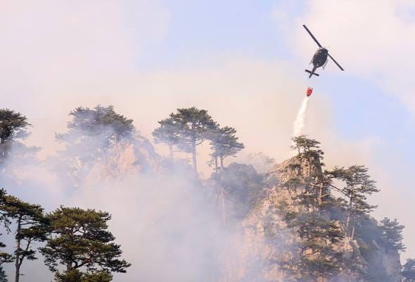 Bosnia-Herzegovina mohon bantuan antarabangsa padam kebakaran hutan