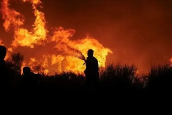 Kebakaran hutan di Greece merebak berhampiran Athens, bandar dan hospital dipindahkan