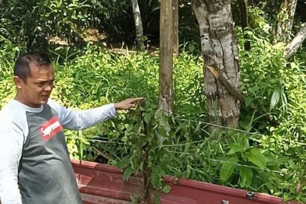 macam mana dua beradik itu boleh ambil' - Uzair Shafawi