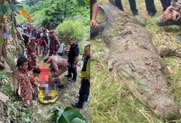 Buaya baham pekerja ladang di Lahad Datu ditembak mati