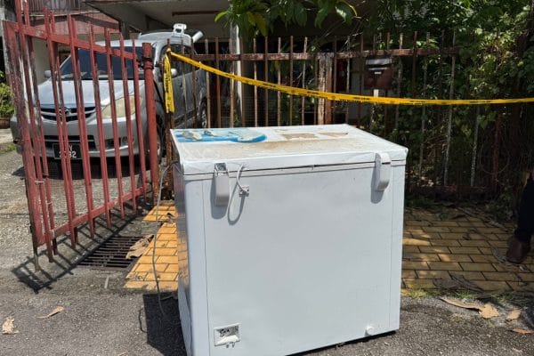 Tergamak bunuh, sorok ibu tiga tahun dalam peti ais