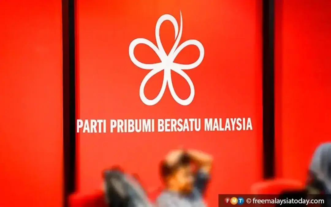 Beberapa NGO Melayu mahu sertai Bersatu