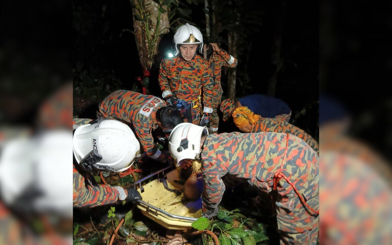 Lelaki jatuh gaung cari durian