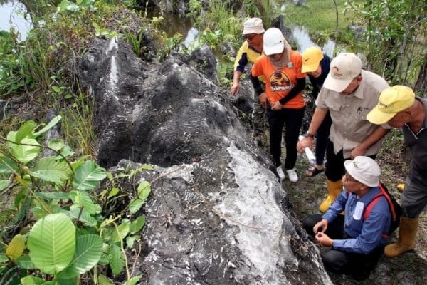 Perak setuju wartakan lokasi karang purba di Kampar sebagai geotapak