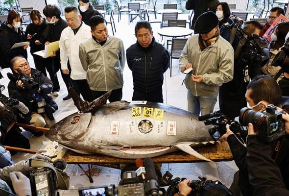 Tuna US$1.3 juta di lelongan tahun baharu Jepun