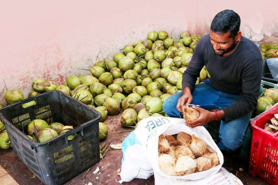 Harga kelapa, bunga melur melonjak menjelang Thaipusam