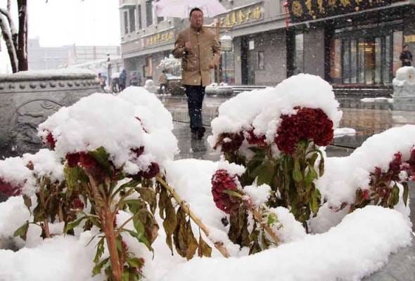 'Perkampungan salji tanpa salji'